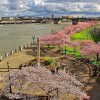 MANY Portland Saturday & Sunday Events: PSU Farmer’s Market, Festival of Colors, Smashputt & More blossom circle