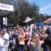 2015 Rox in Sox Festival | Celebration of Music & Reading, Fundraiser, Fun Prizes, School of Rock Rox in Sox Festival @ Lake Oswego