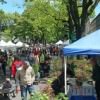 Portland Mother’s Day Weekend 2015 – Camas Plant & Garden Fair | Gift Ideas for Mom, High Quality Plants, Trees, Starts & More! Camas Plant & Garden Fair