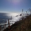 Oregon Coast Trail Spring Has Sprung! | Clifftop Views, Ocean, Seaside, Pisgah Adventures Spring Break Trip Pisgah Adventures Coast