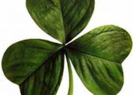MANY 2019 Portland St. Patrick’s Day Events: Parade, Parties, Festivals, Music, Food & Drink Specials & More! St Patrick's day Clover