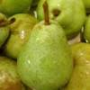 2016 Annual Hood River County Fruit Loop Pear Celebration is This Weekend! | Desserts, Live Music, BBQs, Alpaca Babies, Lavender, Wine & More! Hood River Fruit Loop Pears