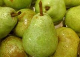Hood River County Fruit Loop Fall Harvest Celebration 2019 | Oktoberfest, Fresh Picked Apples, Berries, Pies, Pears, Pumpkins, Corn Maze, Farm Animals & More! Hood River Fruit Loop Pears