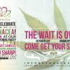 Portland Marijuana / Pot Dispensary Grand Opening Party: Cannacea on NE Halsey | Huge Selection of Cannabis, Specialty Strains, Samples, Freebies & Giveaways, Gifts & More! Cannacea