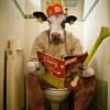 Win Tickets: The Comedy Bull @ The Secret Society | Comedians Perform Under Pressure, Battle for Top Honors, Audience Wins The Comedy Bull hosted by Anatoli Brant & Neeraj Srnivasa