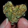 Win Tickets ($30): Heartbeat Silent Disco “Oregon Love” A Silent Disco/Cannabis Event @ Refuge PDX | Vendors , Samples, Giveaways & More! Oregon Love Marijuana