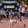 2018 Southwest Humane Society’s Walk/Run for the Animals @ Vancouver’s Esther Short Park | 3-Mile Walk, Dog Friendly Chip Timed 5K, Beer Garden Walk Run for the Animals
