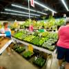 2016 Hortlandia @ Portland Expo Center | Spring Plant and Art Sale Featuring Garden Quilt Exhibition, 50+ Nurseries from California to Canada Hortlandia