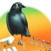 The Golden Road: ’72 Grateful Dead Tribute @ The Goodfoot | Psychedelic Rock THE GOLDEN ROAD: ’72 GRATEFUL DEAD TRIBUTE;