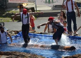 Portland July 4th Weekend 2017 – The Estacada Timber Festival | County’s Largest Firework Show, Live Music, Beer Garden & More! Estacada Timber Festival