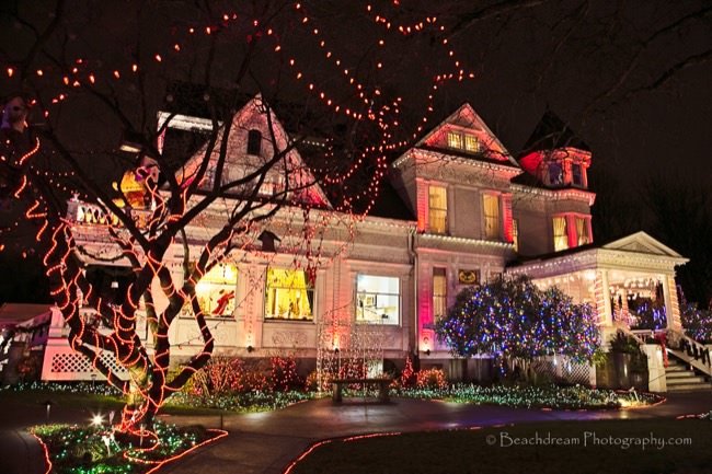 portland 39 s 2016 the miracle of a million lights christmas brunch portland oregon