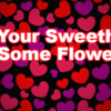 Get your Sweetheart Some Flower w/ The Daily Leaf! | Portland 2017 Valentine’s Day Gift Ideas, Flowers, Chocolates, Deals Good All Week! ValentinePage