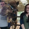 2017 Art in the Park Festival & Multnomah County Fair at Oaks Park | Memorial Day Weekend, Homemade Crafts, Beer & Wine Garden multnomah county fair