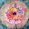 Portland in the News: EV Showroom, Vegan Doughnuts, Buying Local Pot & More! | May 18, 2017 https://pdx.eater.com/2017/5/11/15624790/doe-donut-vegan-doughnut-shop-portland