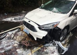 Portland in the News: Spilled Fish Guts & Molasses, Unlikely Hikers, A Trail to the Coast & More! | July 20, 2017 http://www.oregonlive.com/portland/index.ssf/2017/07/not_just_eels_weirdest_roadway.html