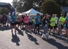 Win Tickets ($70): SHOC Walk & Run for Ovarian Cancer | 5K, 10K, Beautiful Clackamas River Route Race Header 13th Annual SHOC Walk & Run for Ovarian Cancer