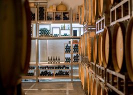 Portland in the News: Fall Foliage, The Changing Face of Portland, Hip Hop Indie Label Eyrst Heats Up & More! | September 21, 2017 https://www.nytimes.com/2017/09/14/dining/oregon-wine.html?_r=0
