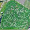 2017 Portland RIP CITY Corn Maze @ Bella Organic Pumpkin Patch | Lillard Time, Fall Harvest, Bounty, All Ages, Family Friendly bella organic lillard time