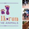 2019 Southwest Humane Society’s Walk/Run for the Animals @ Vancouver’s Esther Short Park | 3-Mile Walk, Dog Friendly Chip Timed 5K, Beer Garden walk run for the animals