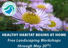 Dig Into Sustainable Gardening: Free Workshops Help You Save Time & Money in Your Yard! East Multnomah Soil & Water Conservation Dist WORKSHOPS