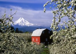 2018 Gorge Artists Open Studios Tour | FREE, Visit 40+ Art Studios in the Columbia River Gorge Columbia River Gorge Shutterstock