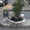 Portland in the News: Tiny Sign for Mills End Park; Biking Through the Drive-Thru; Guardian Angel Patrol & More! | May 31, 2018 https://www.atlasobscura.com/articles/worlds-smallest-park-sign