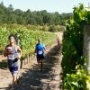 2018 5K/10K Run for the Oaks @ Left Coast Cellars | All Ages, Beautiful Old Grown Oak Savannas, Wine Tasting, Benefits Oak Restoration Run for the oaks