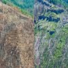 Portland in the News: Reusable Beer Bottles; PDX Tops List of Best Airports; Gorge Showing Signs of Recovery & more! | July 12, 2018 https://www.oregonlive.com/expo/news/erry-2018/07/bdc71d39687989/10_months_after_the_eagle_cree.html#incart_target2box_default_#incart_target2box_targeted_