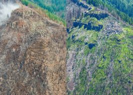 Portland in the News: Reusable Beer Bottles; PDX Tops List of Best Airports; Gorge Showing Signs of Recovery & more! | July 12, 2018 https://www.oregonlive.com/expo/news/erry-2018/07/bdc71d39687989/10_months_after_the_eagle_cree.html#incart_target2box_default_#incart_target2box_targeted_