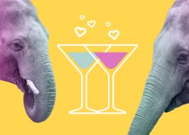 Win Tickets ($49): Happy Hour at the Zoo: Party for Elephants | Meet the Keepers, Lawn Games, Photo Ops, Drinks Elephants HH