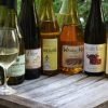 Cascade Foothills Wine Growers Present Hands on Harvest | Sample & Taste 15 Wineries Over 2 Months, Portland Labor Day Weekend Hands on Harvest