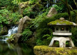 Portland Japanese Garden Offers Teachers Some Back to School Serenity | Get Student Ticket Price After 5p PJG_Back to School Serenity