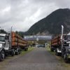 Bigfoot Bash @ Logtoberfest Festival in Stevenson, WA | Free, Beer, Chain Saw Art, Vendors, Harvest Goods, Live Music & More! big foot bash