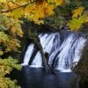 Portland in the News: Most Dog Poop in the US; Where to Hike for Fall Colors; Belmont Goats on the Move & More! | October 4, 2018 https://www.oregonlive.com/expo/life-and-culture/erry-2018/09/3ef88459fc8603/12-fall-foliage-hikes-around-p.html