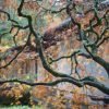 Portland in the News: The Bandage Man of Cannon Beach, The Brown Widow, Cat Burglar & More! | October 11, 2018 https://www.oregonlive.com/expo/life-and-culture/erry-2018/10/132cec45ce4936/portland-japanese-garden-displ.html