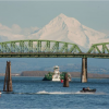 Portland in the News: Best City for Singles, Remembering that Time Oregon Blew up a Whale, America’s Worst Drivers & More! | November 15, 2018 https://pamplinmedia.com/pt/9-news/412045-312765-can-a-river-ferry-relieve-traffic-proposal-hopes-for-green-light