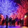 Portland in the News: Santa Clones; Portland Poop Patrol; Comet Wirtanen | December 13, 2018 https://www.oregonlive.com/expo/life-and-culture/erry-2018/12/cb0e08415f580/the-15-best-holiday-light-disp.html