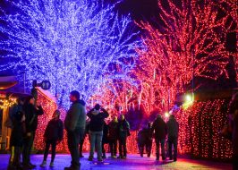 Portland in the News: Santa Clones; Portland Poop Patrol; Comet Wirtanen | December 13, 2018 https://www.oregonlive.com/expo/life-and-culture/erry-2018/12/cb0e08415f580/the-15-best-holiday-light-disp.html