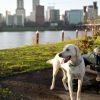 Portland in the News: Blazers Rack up the Frequent Flyer Miles; Too Much Marijuana; Touring Portland’s Lost Buildings & More! | January 10, 2019 https://www.cnbc.com/2019/01/03/where-to-go-on-vacation-in-2019.html