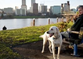 Portland in the News: Blazers Rack up the Frequent Flyer Miles; Too Much Marijuana; Touring Portland’s Lost Buildings & More! | January 10, 2019 https://www.cnbc.com/2019/01/03/where-to-go-on-vacation-in-2019.html
