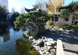 Portland in the News: E-Scooters Are Coming Back, Obsessed With the Occult, Newest DC Comics Superhero is a Portlander & More! | January 17, 2019 https://www.providencejournal.com/entertainmentlife/20190111/gardening-stealing-ideas-from-chinese-garden