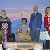 2019 Rose City Classic Dog Show @ Portland Expo Center | Featuring Thousands of of the Country’s Best Dogs The Rose City Classic