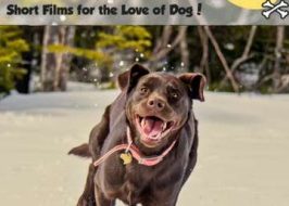 2019 Bow Wow Film Festival @ Clinton Street Theater | Short Films for the Love of Dog Bow Wow Film Festival