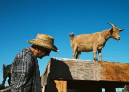 Portland in the News: Belmont Goats At Home in North Portland; Blind Man Drives Alvord Desert; New Land Protections In Oregon & More! | March 14, 2019 https://www.oregonlive.com/portland/2019/03/portlands-beloved-belmont-goats-are-again-taking-visitors-this-time-in-north-portland.html