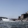 Portland in the News: Accessing Willamette Falls; All Electric Buses; “Shrill” Renewed & More! | April 18, 2019 https://www.opb.org/news/article/willamette-falls-trust-7-million-donation-riverwalk-project/