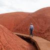 Portland in the News: Oregon’s Top Accessible Trails, Watch the New ‘Stumptown’ Trailer, The Tao of Damian Lillard & More! | May 16, 2019 https://traveloregon.com/things-to-do/outdoor-recreation/hiking-backpacking/accessible-trails/