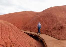 Portland in the News: Oregon’s Top Accessible Trails, Watch the New ‘Stumptown’ Trailer, The Tao of Damian Lillard & More! | May 16, 2019 https://traveloregon.com/things-to-do/outdoor-recreation/hiking-backpacking/accessible-trails/