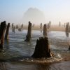 Portland in the News: Low Tides @ Oregon Coast; Rose Festival Canine Court; Roses Near Peak Bloom & More! | May 23, 2019 https://expo.oregonlive.com/life-and-culture/g66l-2019/05/fded1a86d18271/big-low-tides-coming-to-the-oregon-coast-this-summer.html