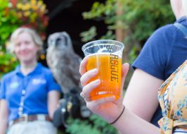 Roars + Pours Happy Hour: Summer Lovin @ Oregon Zoo | Adults Only, Lawn Games, Photo Ops, Happy Hour, Learn About Mating Behaviors Happy Hour @ the zoo