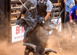 2019 Clark County Fair | Concerts, Contests, Bug Show, Mutton Bustin’, Demo Derby, Tuff Trucks Clark County Fair